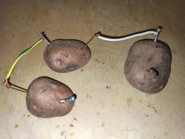 Elektrina zo zemiakov - vykonať jednoduchý pokus