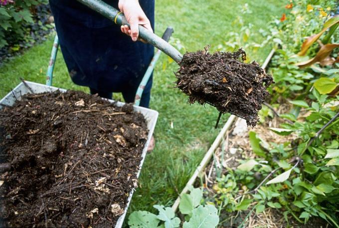 Ihly pre kompost | Záhradkárstvo a záhradníctvo