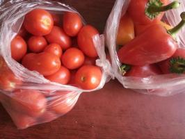 Lazy kusa zmesi dvoch termínoch na paradajky. Soľ nie je nutná ocot