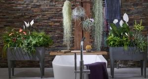 Rastliny v kúpeľni prispievajú k blaženej atmosféru. 6 variantov z "live" dekor