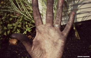 Ochischayaem ruky po záhrade
