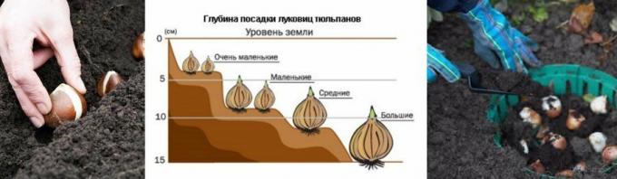 Ilustratívny príklad diagramu. Prevzaté z mirfermera.ru
