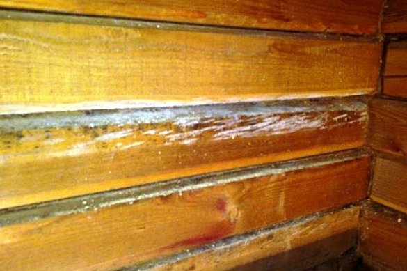 Záver: drevo dom by mal byť teplý paropriepustná izoláciou, ako je minerálna vlna.