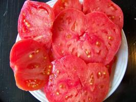 8 nezvyčajné a lahodné odrody paradajok