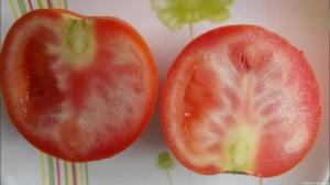 Prečo pestovať paradajky s bielymi žilkami, a čo robiť