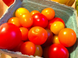 Top-7-poddajný hybridy paradajka. Voľba pre 2019!