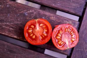 Ako vybrať paradajka semená múdro