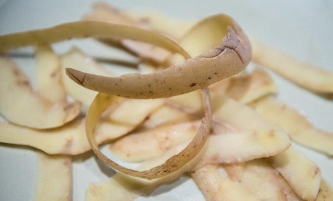 Škrabka na zemiaky - cenný produkt (zhiteiskiesovety.ru)
