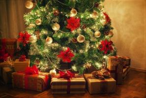 Ako si vybrať vianočný stromček na základe vášho znamenia. 12 vynikajúce nápady
