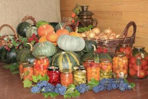 Jesenné zimné kŕmenie: ako zhromaždiť a zachovať zber záhradných plodín