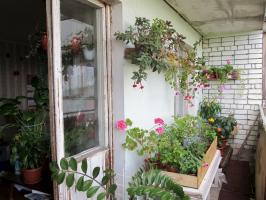 Ako vybaviť zimnej záhrady na balkóne