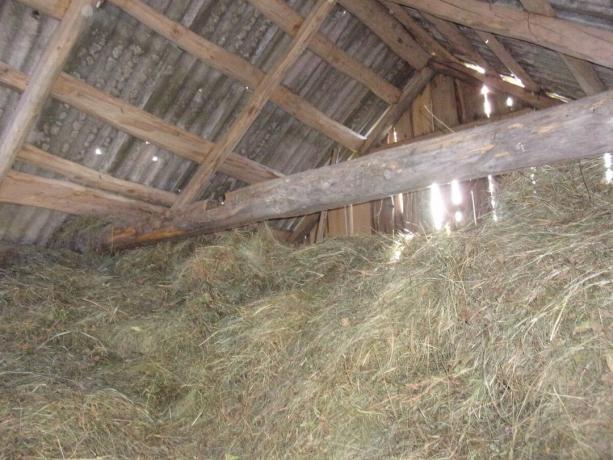 Seno prístrešok takmer pod strechou naplnené senom pre kozy.