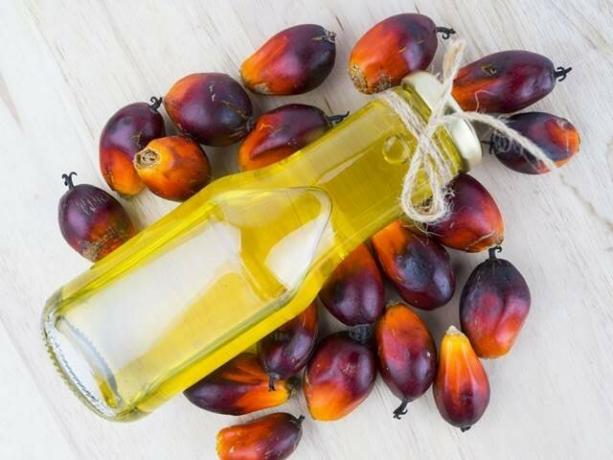 Aké sú prospešné a škodlivé vlastnosti palmového oleja?