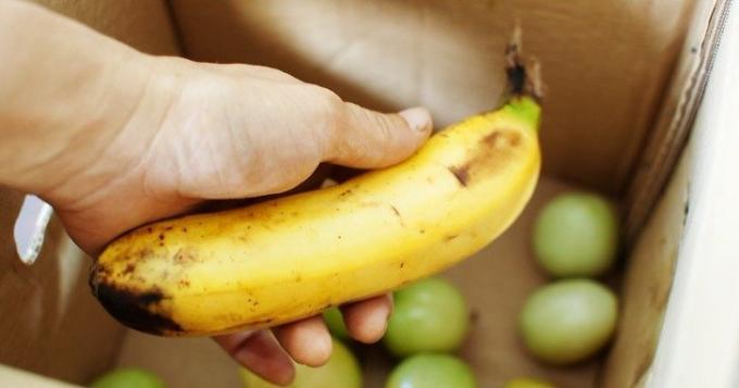 Zrelý banán urýchľuje zrenie zelených paradajok