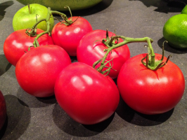 7 najlepších paradajok trpasličej odrody (outdoor)