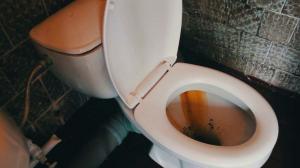 Ako rýchlo a ľahko vyčistiť záchod od hrdze a žltý povlak?