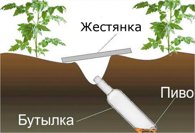 Dizajn systém klopkan.ru site