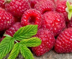 Berry-malinový: Výsadba a údržba funkcie. Žať každý rok