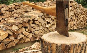Život hacking dreva: produkcia optimalizovať spracovanie a skladovanie "národné paliva"