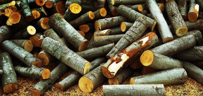 Aspen drevo dokonale vyčistiť komín sadze