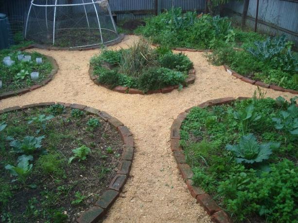 Dráha pilín v tejto oblasti | Záhradkárstvo a záhradníctvo