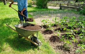Organické hnojivo na záhrade: 5 najlepšie bez chémie