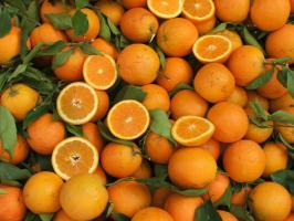 Kto by nemal jesť mandarínky?