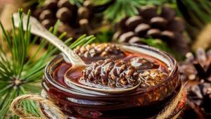 Liečivé vlastnosti šišky marmeládou. Aké sú výhody pre telo.