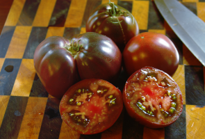 5 druhov chutných paradajok s fialovými tónmi