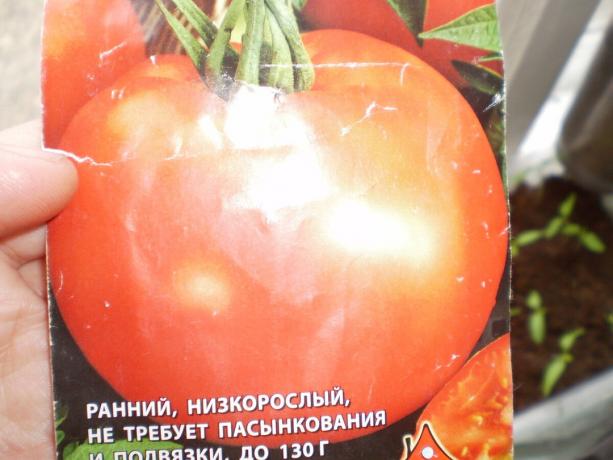 Odroda paradajky "vypĺňanie White 241 