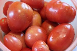 5 Prehľad odrôd veľkých a mäsité paradajky. najlepší stupňa