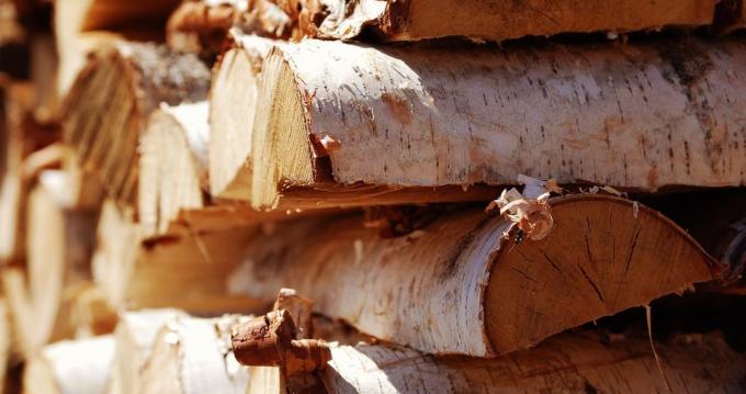 Brezové drevo je takmer ideálny pre ohniska pece