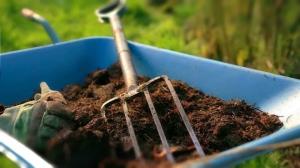 4 najlepších spôsobov, ako používať rašeliny v záhrade. A niektoré riziká